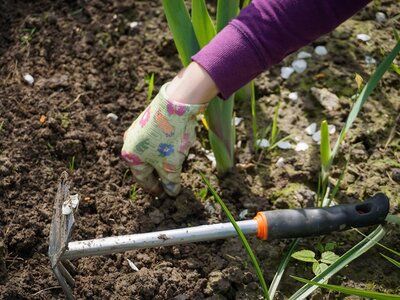 Gardening Jobs for March