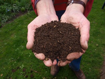 A handful of homemade and sieved compost - Image by Joke vander Leij from Pixabay