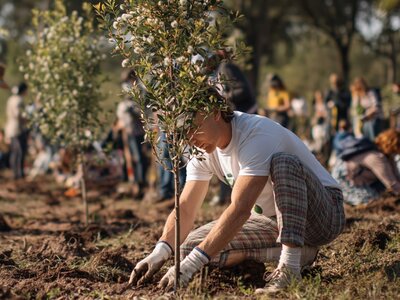 A community planting trees in autumn - Public Domain Image