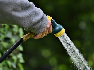 Watering a garden with a hose - Image by Ralph from Pixabay