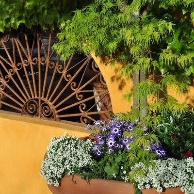 urated container display for a small space - Image by D.B. Pacini-Christensen from Pixabay