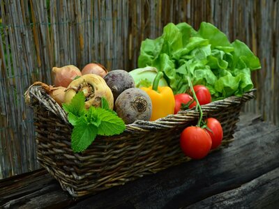Grow Your Own Organic Healthy Food Event