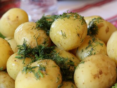Growing Potatoes for Christmas