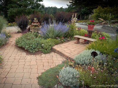 Creating a Mediterranean-Style Garden That Thrives in Ireland