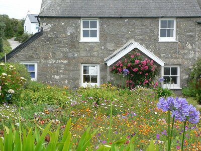 Cottage Garden - photo by paul dickson (geograph.org - CC BY-SA 2.0)
