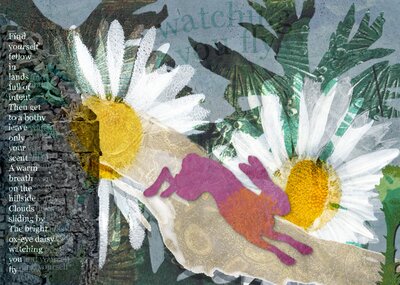 A sneak preview of the Nature and Nurture series to be displayed at Ardcarne Garden Café