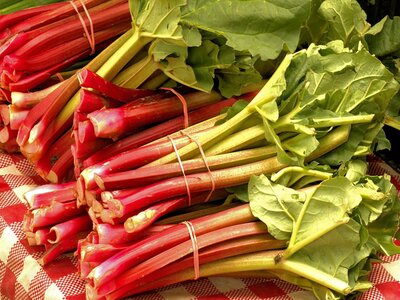 Rhubarb: The gift that keeps on giving.