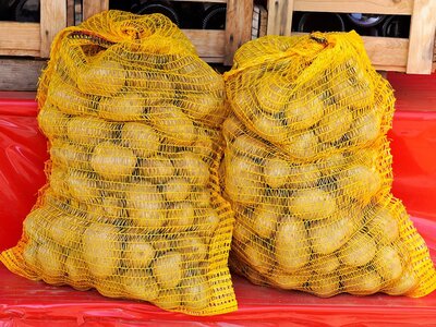 Nets of Seed Potatoes - Image by Matthias Böckel from Pixabay