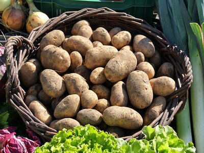 Seed Potatoes Now In Stock...