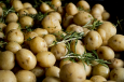 Job of the week: Harvest new potatoes