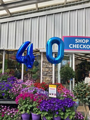 40th Celebrations