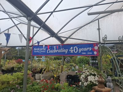40th Celebrations
