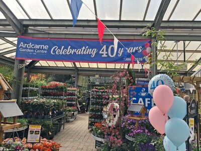 40th Celebrations