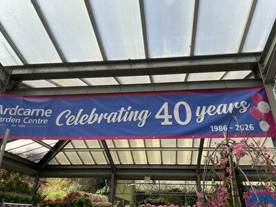 40th Celebrations
