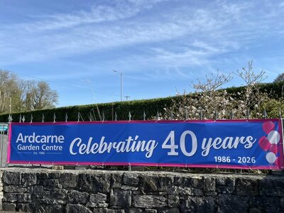 40th Celebrations