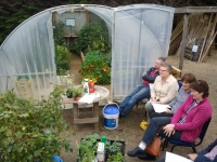 Autumn Polytunnel Event 2014