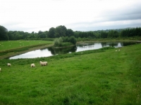 Secret Gardens of Sligo