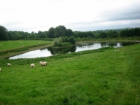 Secret Gardens of Sligo Newpark Ballymote