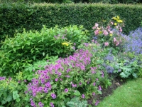 Secret Gardens of Sligo