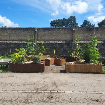 Bloom 2024 - Rathcroghan Ogham Alphabet Garden