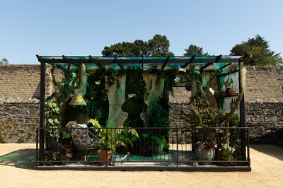 Bloom 2026 - The Plant Collector's Balcony Garden