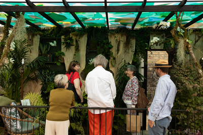 Bloom 2026 - The Plant Collector's Balcony Garden
