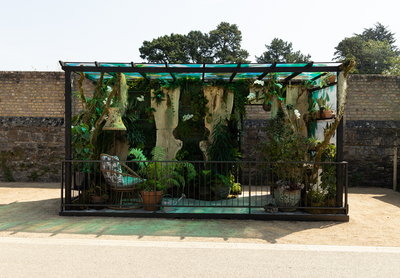 Bloom 2026 - The Plant Collector's Balcony Garden