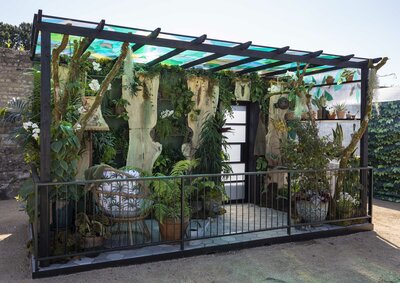 Bloom 2026 - The Plant Collector's Balcony Garden