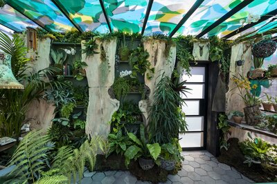Bloom 2026 - The Plant Collector's Balcony Garden