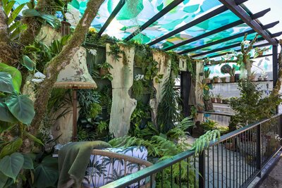 Bloom 2026 - The Plant Collector's Balcony Garden