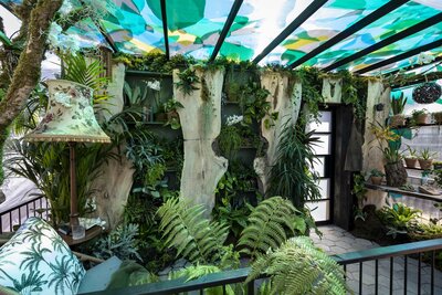 Bloom 2026 - The Plant Collector's Balcony Garden