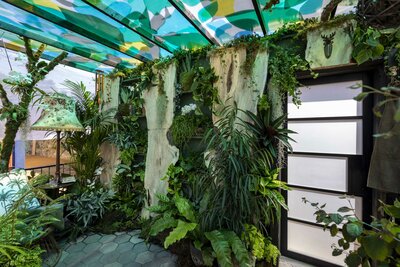 Bloom 2026 - The Plant Collector's Balcony Garden