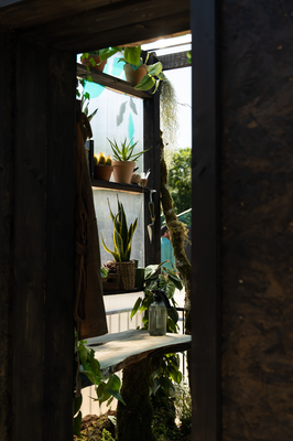 Bloom 2026 - The Plant Collector's Balcony Garden