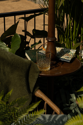 Bloom 2026 - The Plant Collector's Balcony Garden