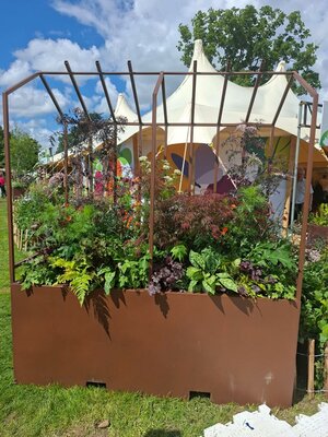 Bord Bia Bloom 2025 Gallery