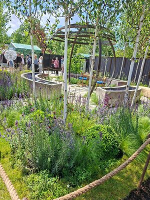 Bord Bia Bloom 2025 Gallery