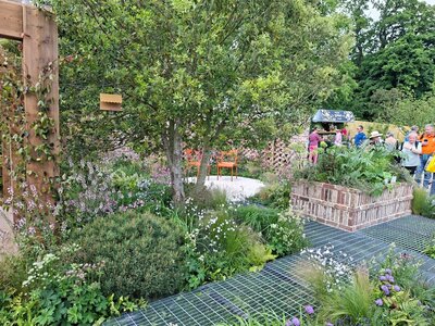 Bord Bia Bloom 2025 Gallery