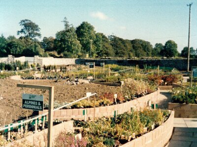 1986 - Outdoor Plants Area