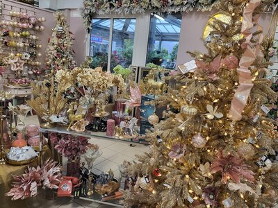 Festive Ballroom