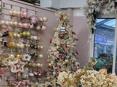 Festive Ballroom