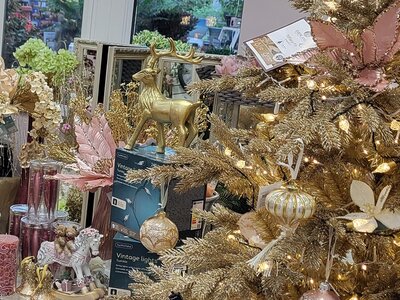 Festive Ballroom