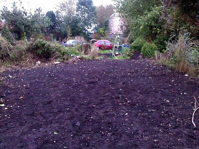 John - Rear Garden - Before