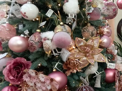 La Vie En Rose