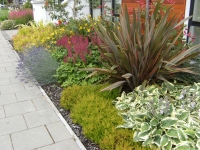 Landscape Design Service