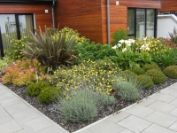 Landscape Design Service