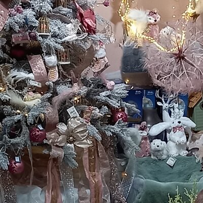 https://www.ardcarne.ie/products/71/christmas/property/theme[magical_garden]
