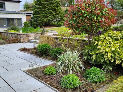 Private Garden near Lough Arrow - 2020