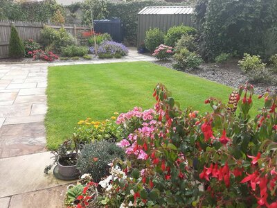 Private Garden - Sligo Town - 2019
