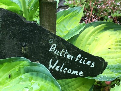 Secret Gardens of Sligo: Heathfield House