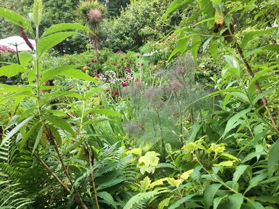 Secret Gardens of Sligo: Heathfield House